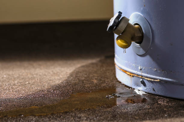 Best Mold removal after water damage  in Pea Ridge, FL