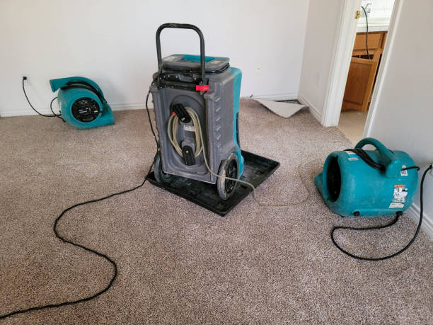  Pea Ridge, FL Water damage restoration Pros