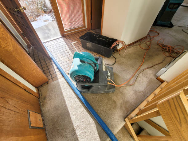 Professional Water damage restoration in Pea Ridge, FL
