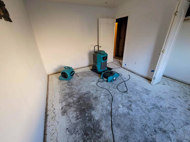 Best 24/7 water damage repair  in Pea Ridge, FL