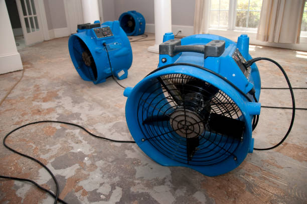 24/7 water damage repair in Pea Ridge, FL