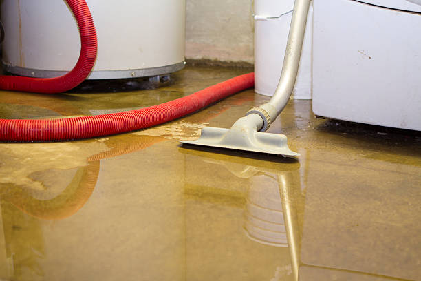 Best Flooded house restoration  in Pea Ridge, FL