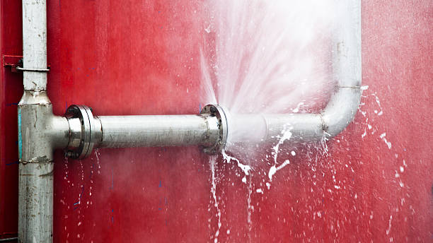 Best 24/7 water damage repair  in Pea Ridge, FL